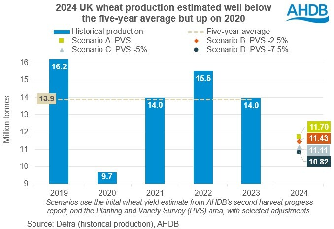 Chart showing UK wheat production from 2019 - 2023 and possible production scenarios for 2024.